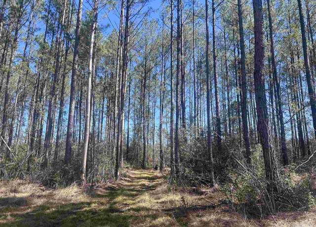 Property at 08 Robinsonville Rd, Atmore, AL 36502