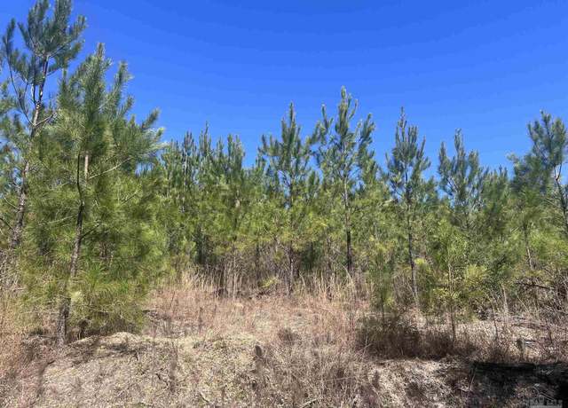 Property at 09 Robinsonville Rd, Atmore, AL 36502