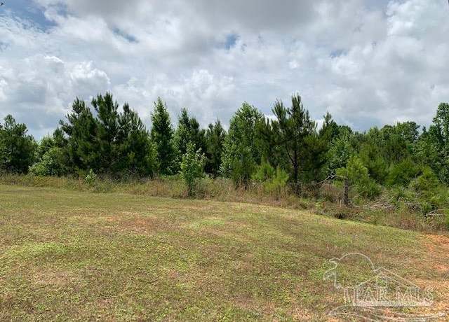 Property at 19600 Block Hwy 43, Grove Hill, AL 36451