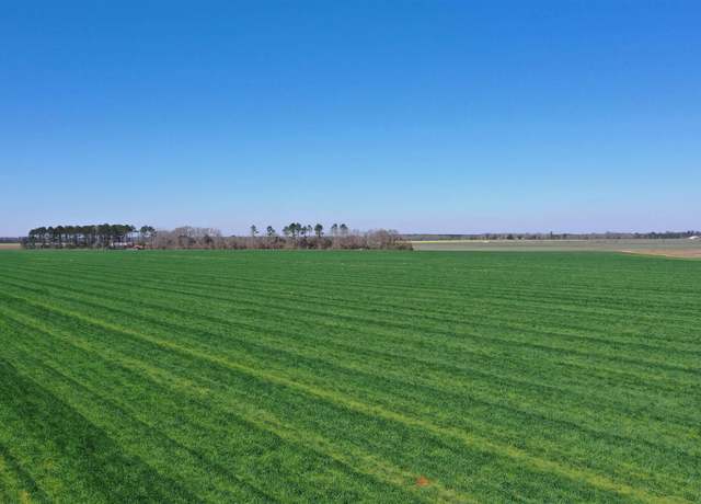 Property at Lot 5 Davis Pond Rd, Atmore, AL 36502