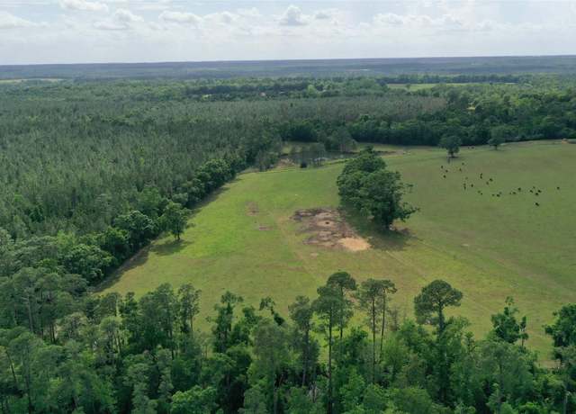 Property at Lot 4 Hall Rd, Jay, FL 32565
