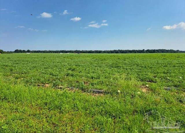 Property at 0 Jesse Allen Rd, Milton, FL 32570