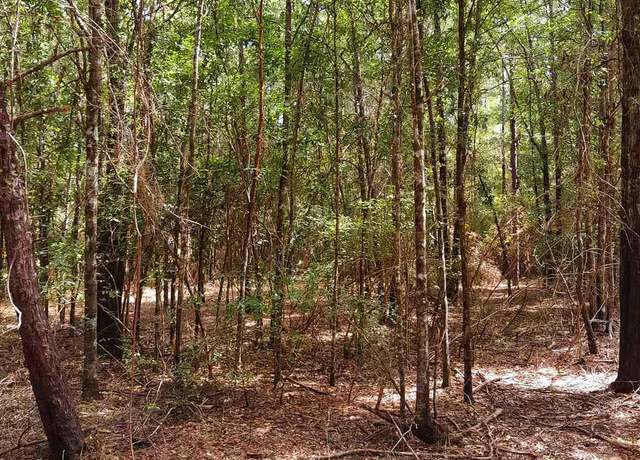 Property at Parcel C-2 Wildlife Rd, Harold, FL 32564