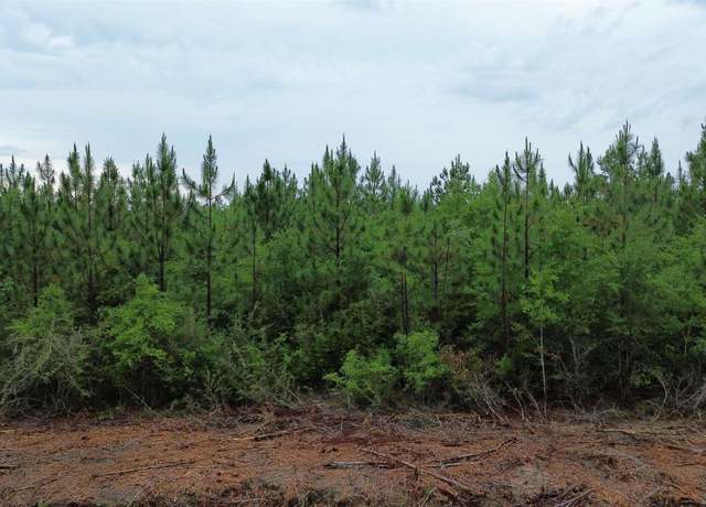 Property at Lot 9 Pineview Church Rd, Jay, FL 32565