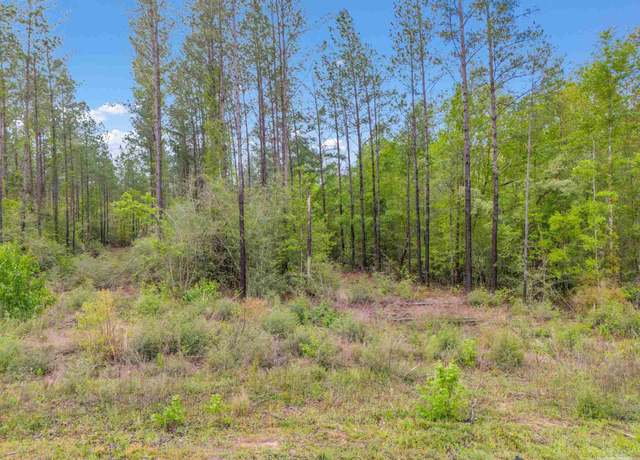 Property at Lot 8 Mineral Springs Rd, Jay, FL 32565