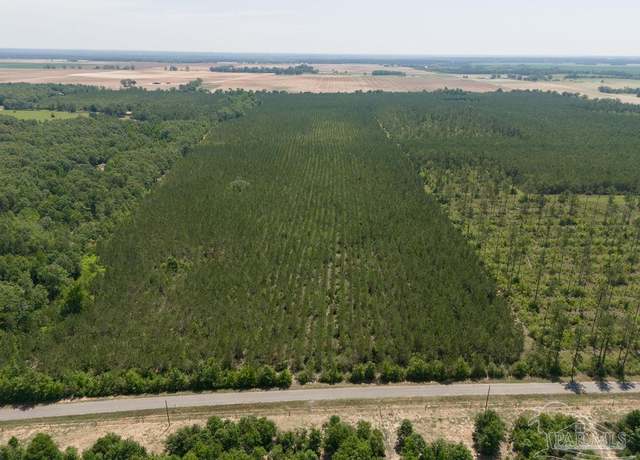 Property at 3 Bud Diamond Rd, Jay, FL 32565