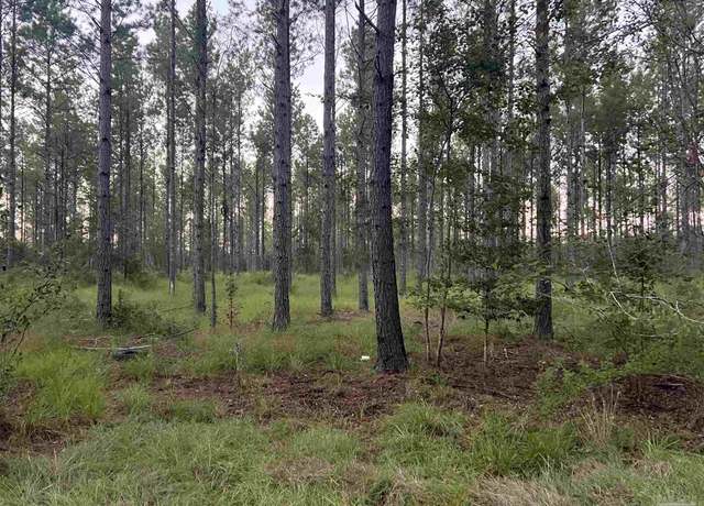 Property at Lot 2 Wallace Lake Rd, Pace, FL 32571