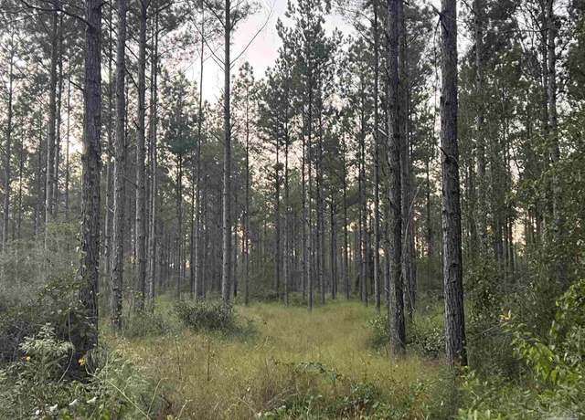 Property at Lot 3 Wallace Lake Rd, Pace, FL 32571