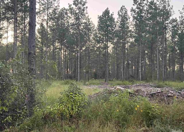 Property at Lot 4 Wallace Lake Rd, Pace, FL 32571