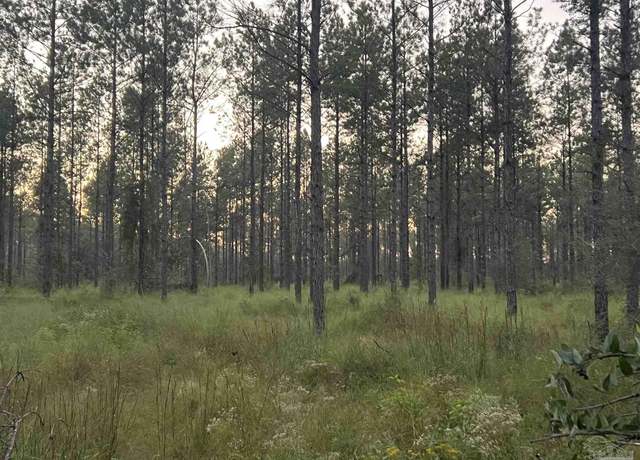 Property at Lot 5 Wallace Lake Rd, Pace, FL 32571