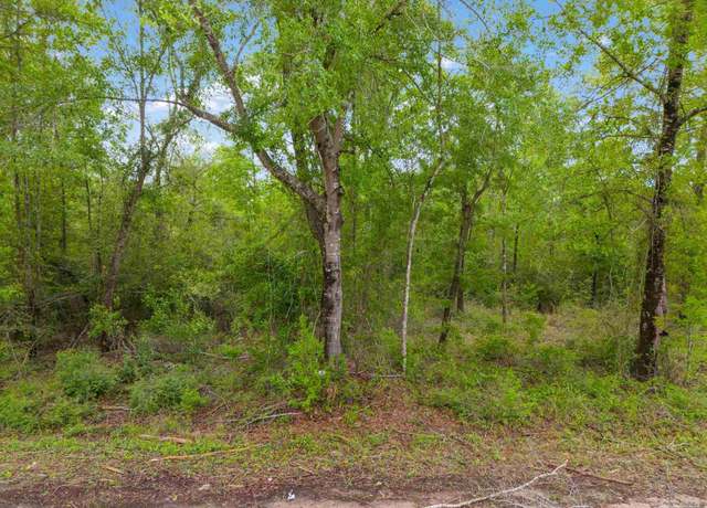 Property at LOT 23 Mineral Springs Rd, Jay, FL 32565