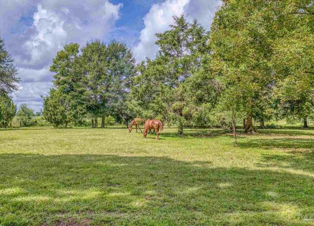 Property at 8430 Tidwell Rd, Pace, FL 32571