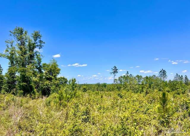 Property at Lot 12-C Cotton Lake Rd, Molino, FL 32577