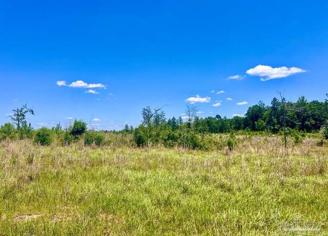 Property at Lot 13-C Cotton Lake Rd, Molino, FL 32577