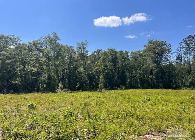Property at Lot 14-C Hwy 29, Molino, FL 32577