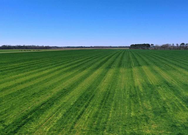 Property at Lot 4 Davis Pond Rd, Atmore, AL 36502