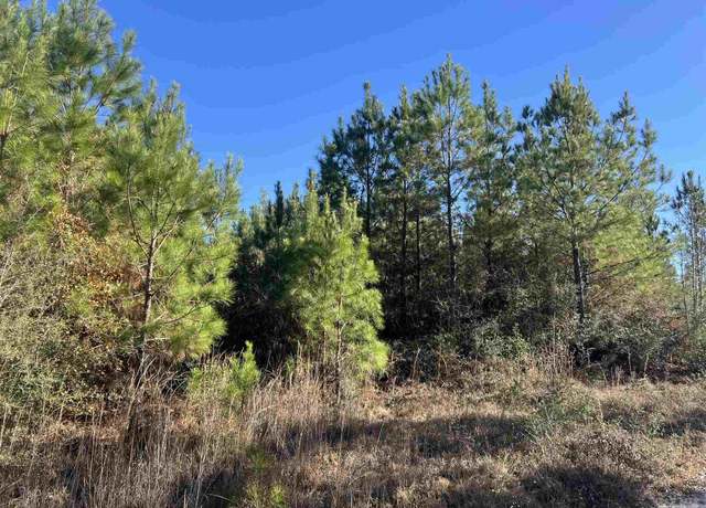 Property at 0001 Treetop Ridge Dr, Pace, FL 32571