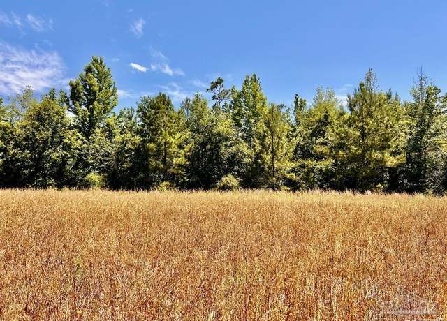 Property at Lot 56 Mineral Springs Rd, Jay, FL 32565