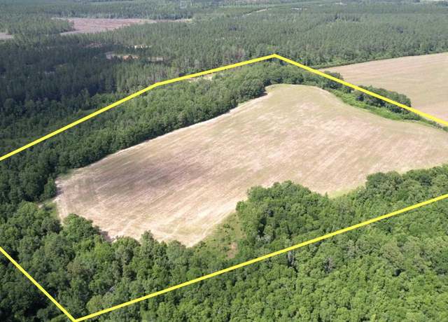 Property at Parcel 17 Mineral Springs Rd, Jay, FL 32565