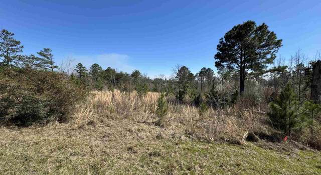Photo of Lot 4 Will Jones Rd, Jay, FL 32565