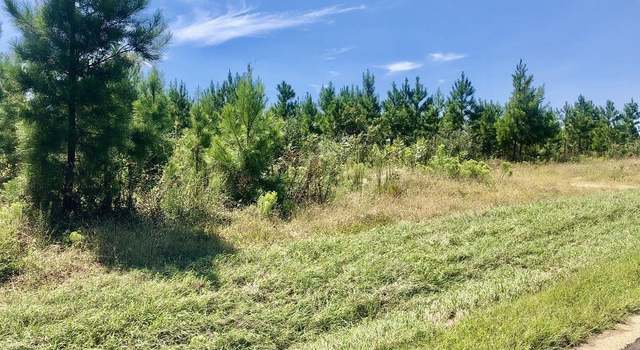 Photo of Lot 20 MBN Molino Bridge Rd, Pace, FL 32571