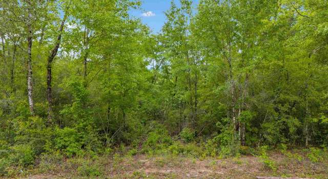 Photo of Lot 001 Curtis Rd, Pace, FL 32571