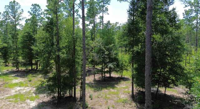 Photo of Lot 15 Pineview Church Rd, Jay, FL 32565