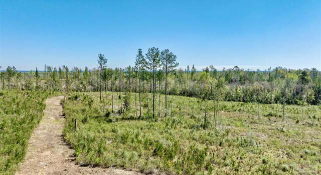 Photo of Lot 3-C Cotton Lake Rd, Molino, FL 32577