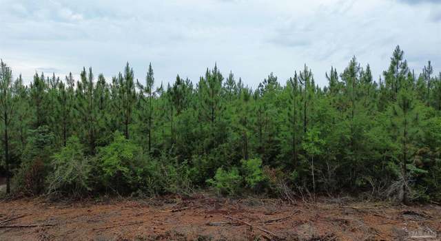 Photo of Lot 8 Pineview Church Rd, Jay, FL 32565