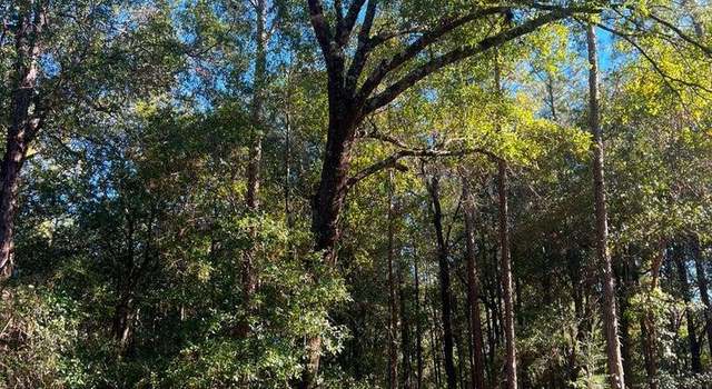 Photo of 4.7 acres Riverchase Rd, Harold, FL 32563