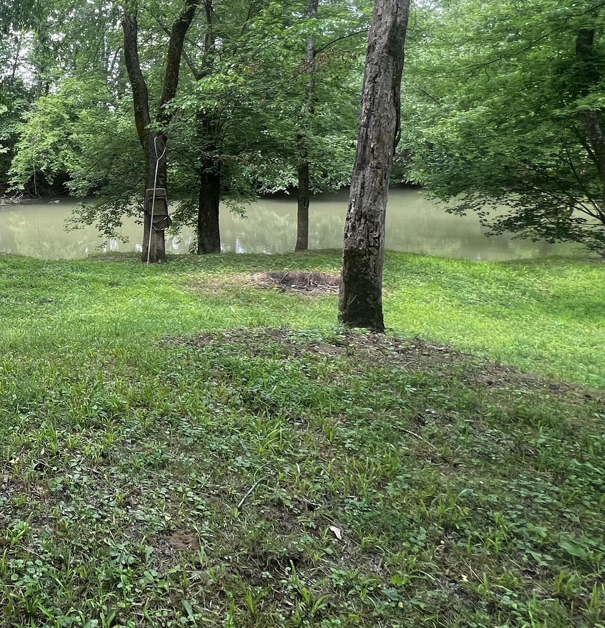 40 Evening Shadow Ln, Jasper, TN 37347 MLS 1374089 Redfin