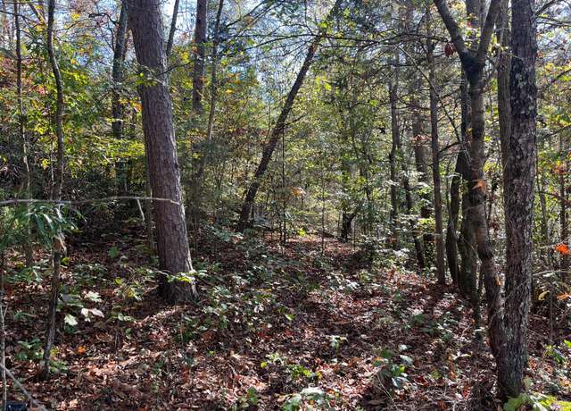 Property at 955 Long Island Rd, New Hope, TN 37380