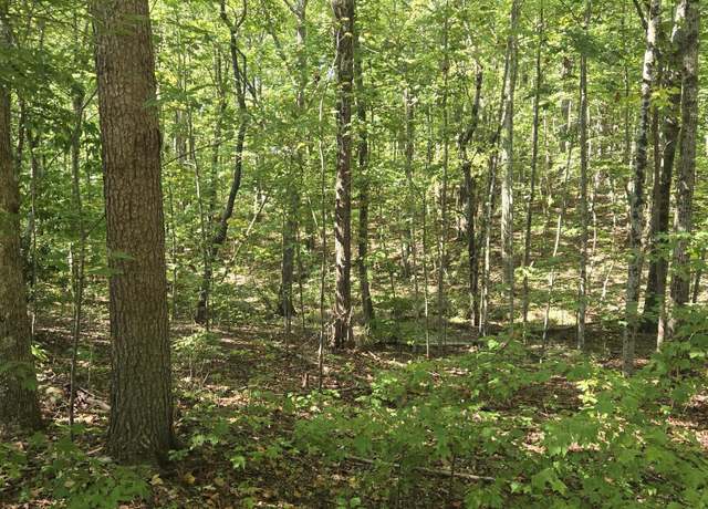 Property at 0 Raven Cliff Rd, Graysville, TN 37338
