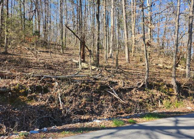 Property at 185 Long Hollow Rd Rd, New Hope, TN 37380