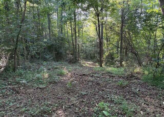Property at Lot 2 Hwy 108, Palmer, TN 37365