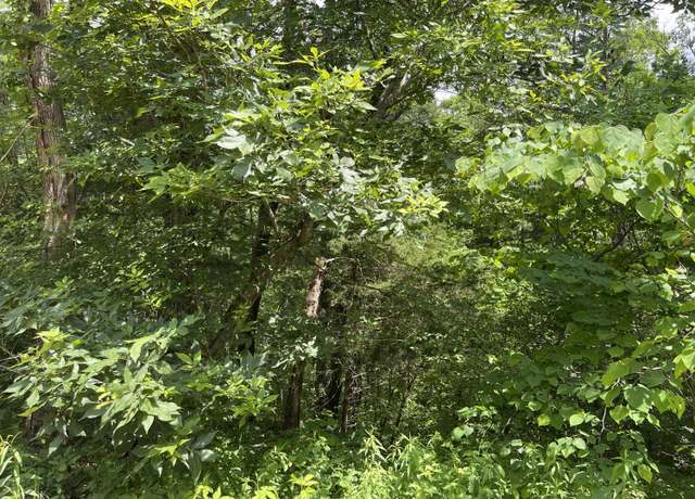 Property at 251 Rock Creek Dr, Old Fort, TN 37362