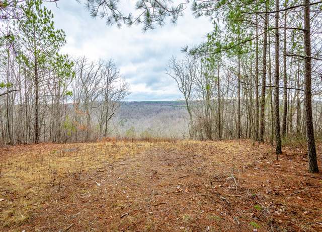 Property at 0 Split Rail Way Lot 1354, Guild, TN 37340