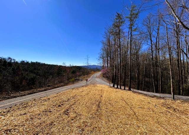 Property at 107 Chestnut Rd, Reliance, TN 37369