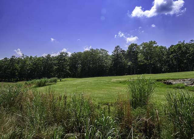 Property at I-3 Arrow Ranch Rd, Rising Fawn, GA 30738