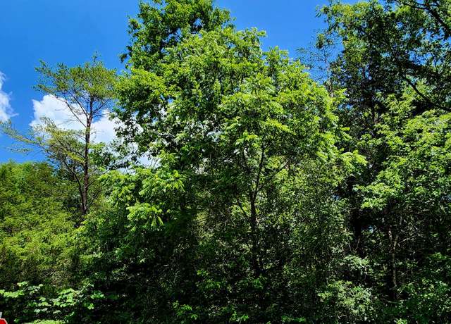 Property at 0 Valley Rd, Pikeville, TN 37367
