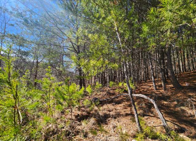 Property at 0 Nicole Dr Unit 21a, Dayton, TN 37321