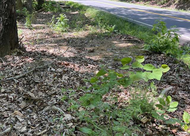 Property at 0 Hwy 163, Calhoun, TN 37309