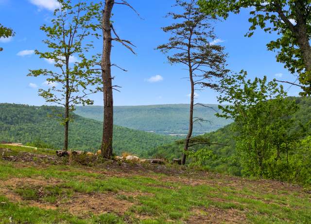 Property at 235 Pine Knot Pass, Kimball, TN 37347