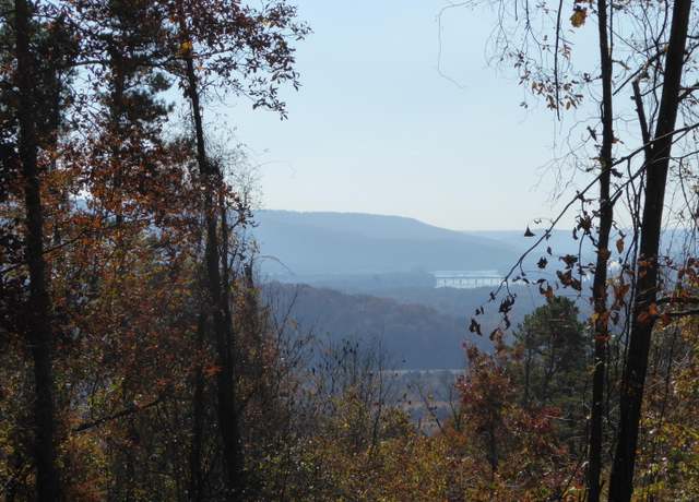 Property at 0 Laurel Ave, South Pittsburg, TN 37380