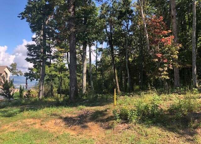 Property at 418 Brow Wood Ln, Lookout Mountain, GA 30750