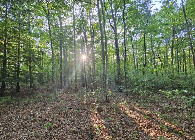 Property at 3 Woodfern Ln Unit Sw1e, Coalmont, TN 37313