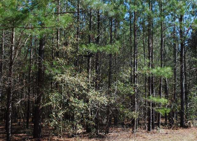 Property at 0 Hannah Rd, Eastman, GA 31023