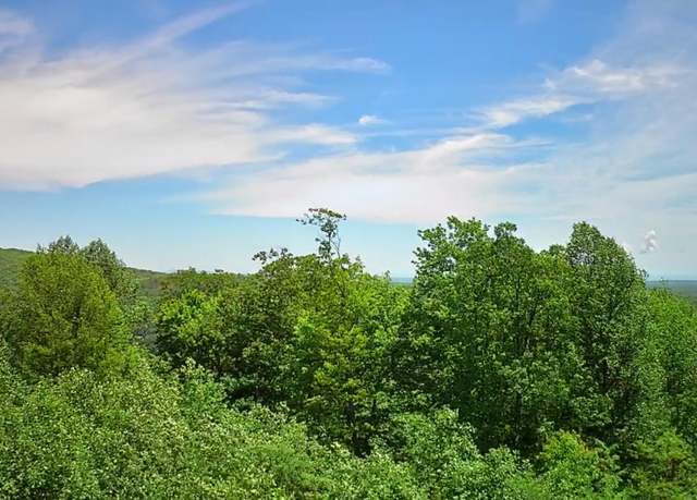 Property at 0 Briley Rd #6, Spring City, TN 37381