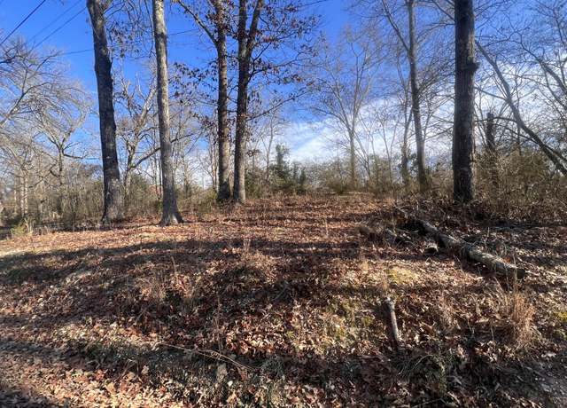 Property at 0 S Ehrich Ave, Bridgeport, AL 35740