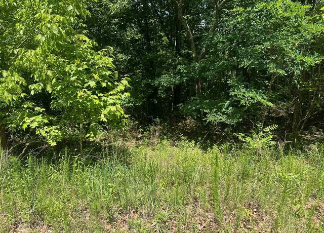 Property at Lot 176 Teludachee Trl #176, South Pittsburg, TN 37380